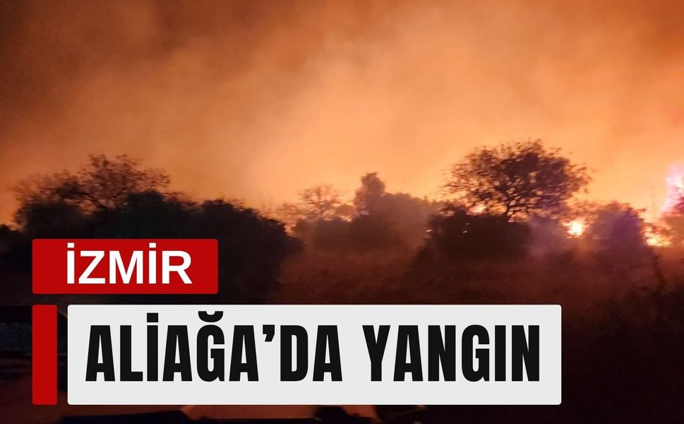 Aliağa’da zeytinlik ve otluk alanda yangın