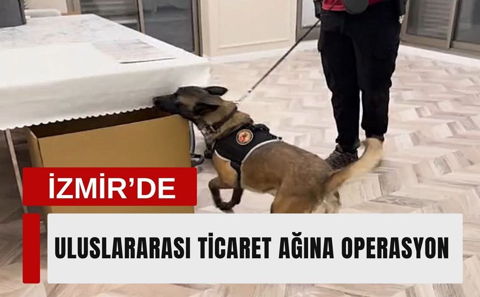 Belçika merkezli suç örgütüne İzmir'de operasyon
