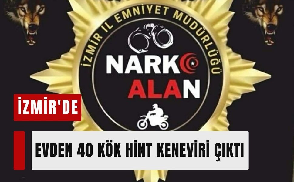 İzmir'de evden 40 kök Hint keneviri çıktı