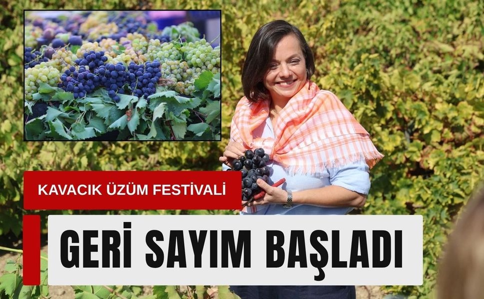 Kavacık Üzüm Festivali için geri sayım başladı