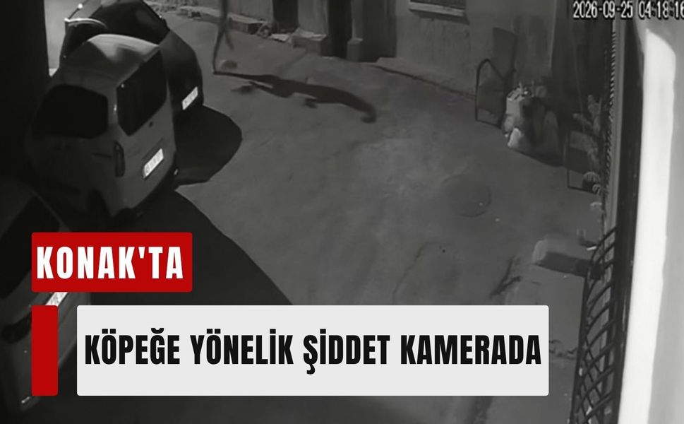 Konak'ta köpeğe yönelik şiddet kamerada