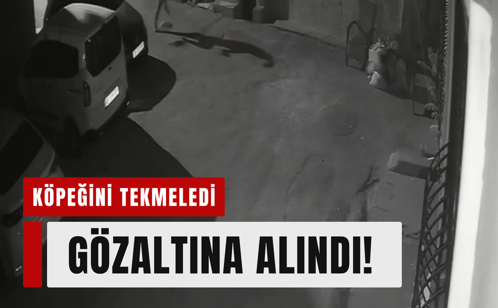 İzmir’de köpeğini tekmeleyen şahıs gözaltında!