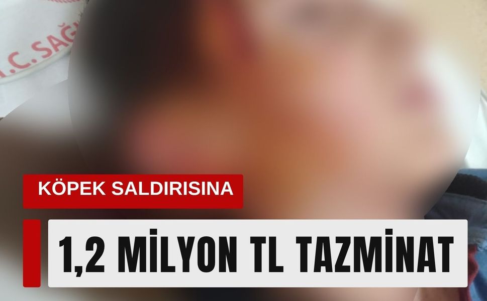 Menderes’te köpek saldırısına 1,2 milyon TL tazminat