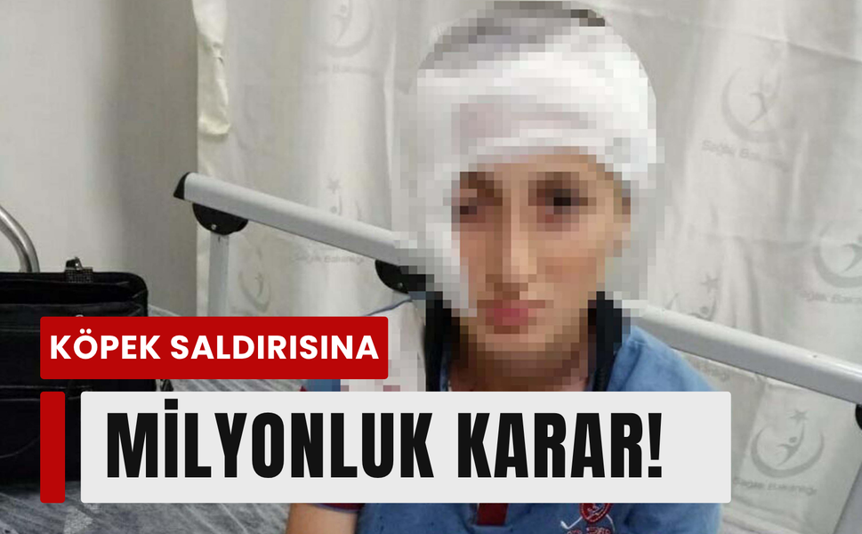 Menderes’te köpek saldırısına rekor tazminat!