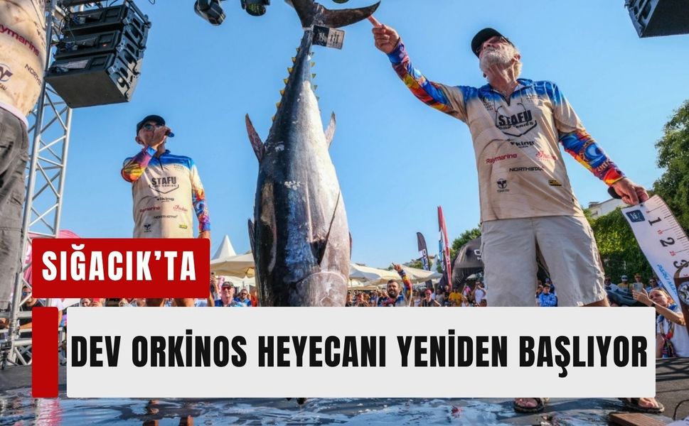 Sığacık’ta dev orkinos heyecanı yeniden başlıyor