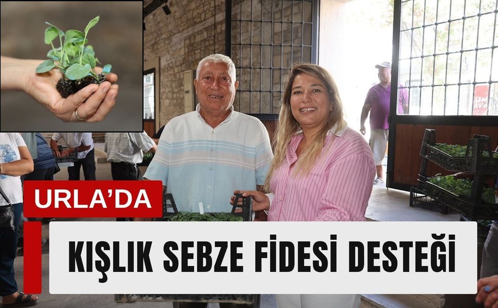 Urla’da 500 üreticiye 120 bin kışlık sebze fidesi desteği