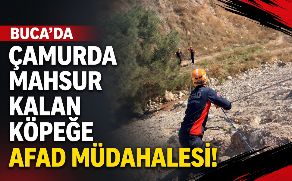 Buca’da çamur alanında mahsur kalan köpeğe AFAD müdahalesi!