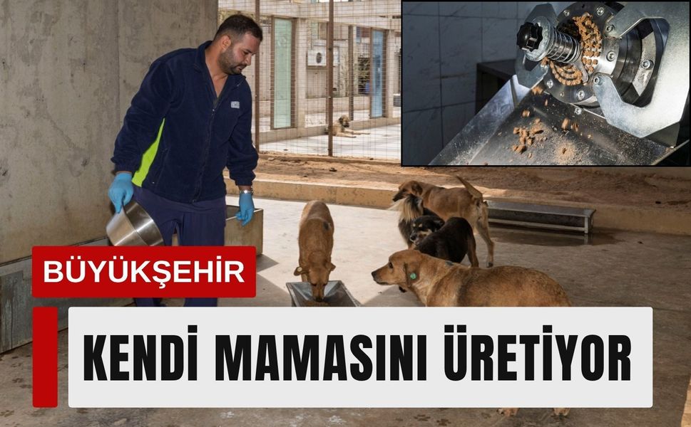 Büyükşehir kendi mamasını üretiyor: Hedef 1 ton