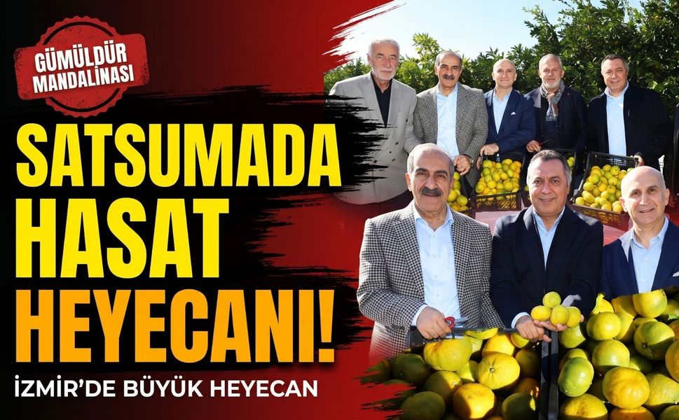 Satsuma mandalinada ihracat sezonu başladı