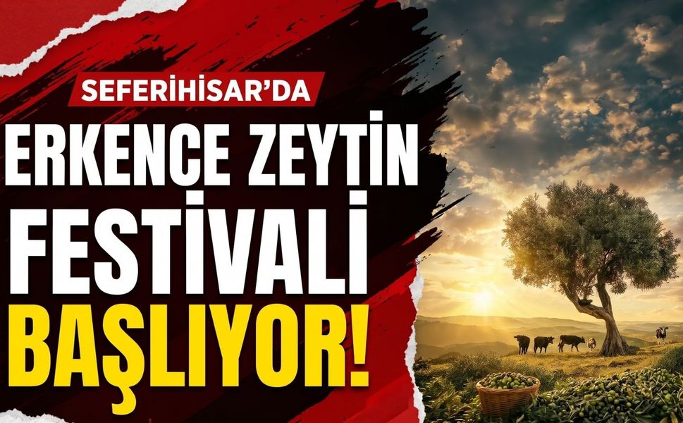 Seferihisar’da Erkence Zeytin Festivali başlıyor