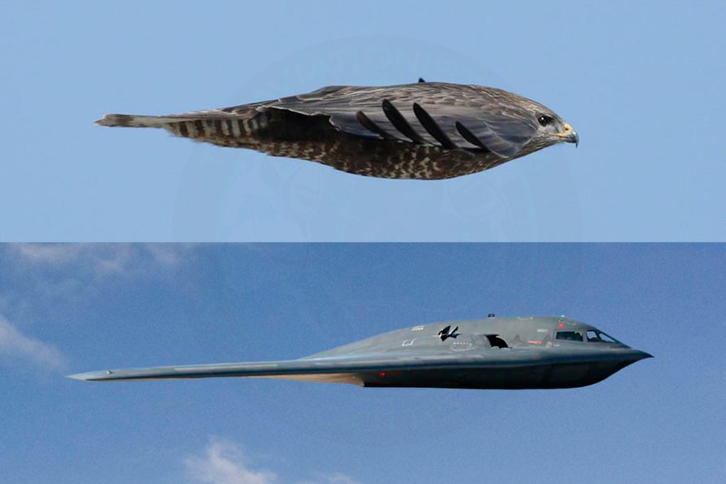 B 2 By Morther Nature Comparison Min Min
