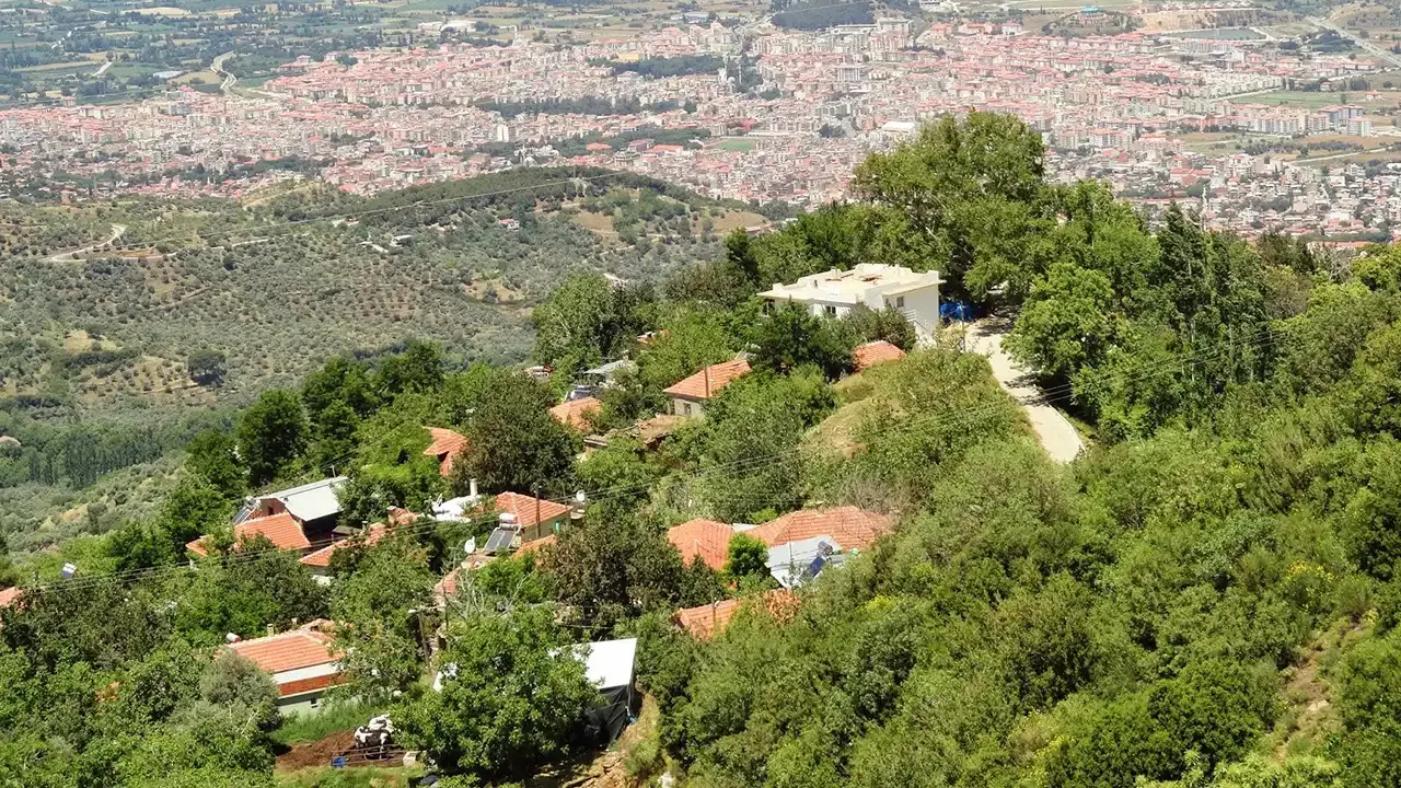 Cambazli Kapak