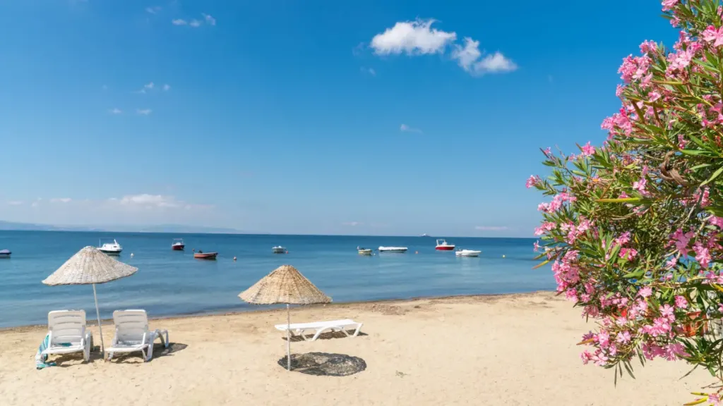 Erdek 54435 2