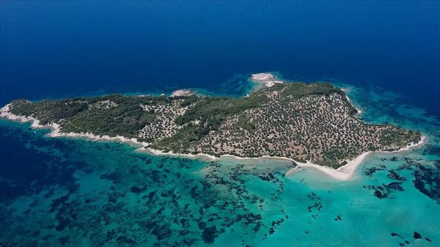 Garip Adasi 2