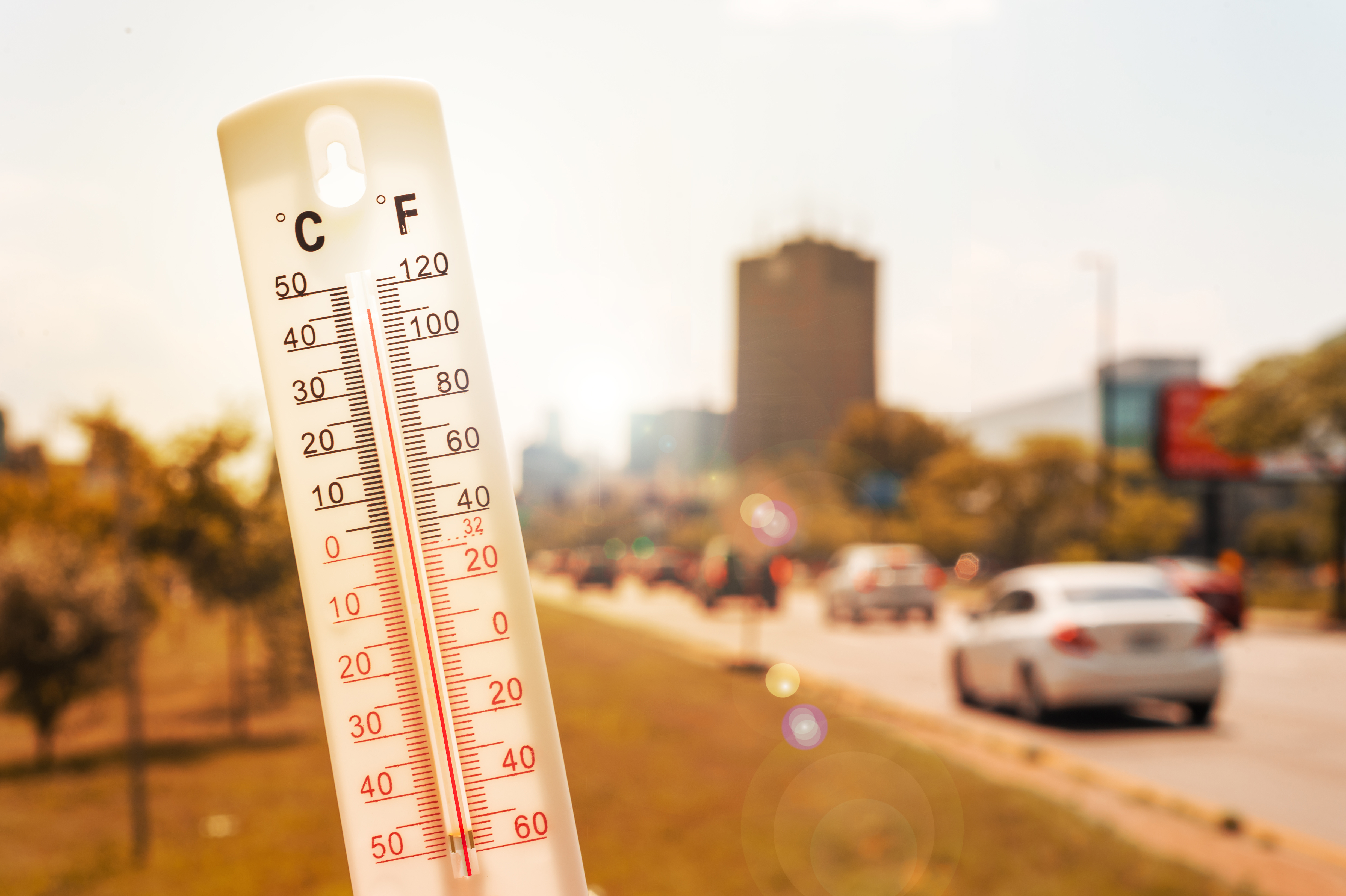 Global Warming Image