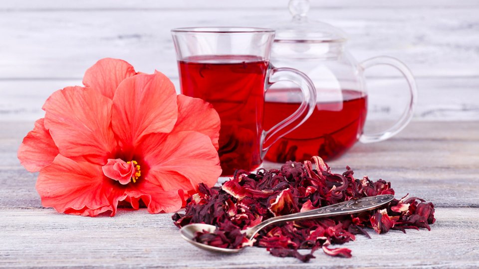 Hibiskus Çayı-1