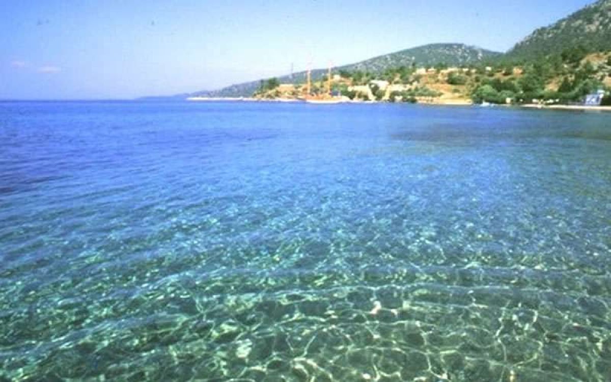 Mazi Inceyali Koyu B