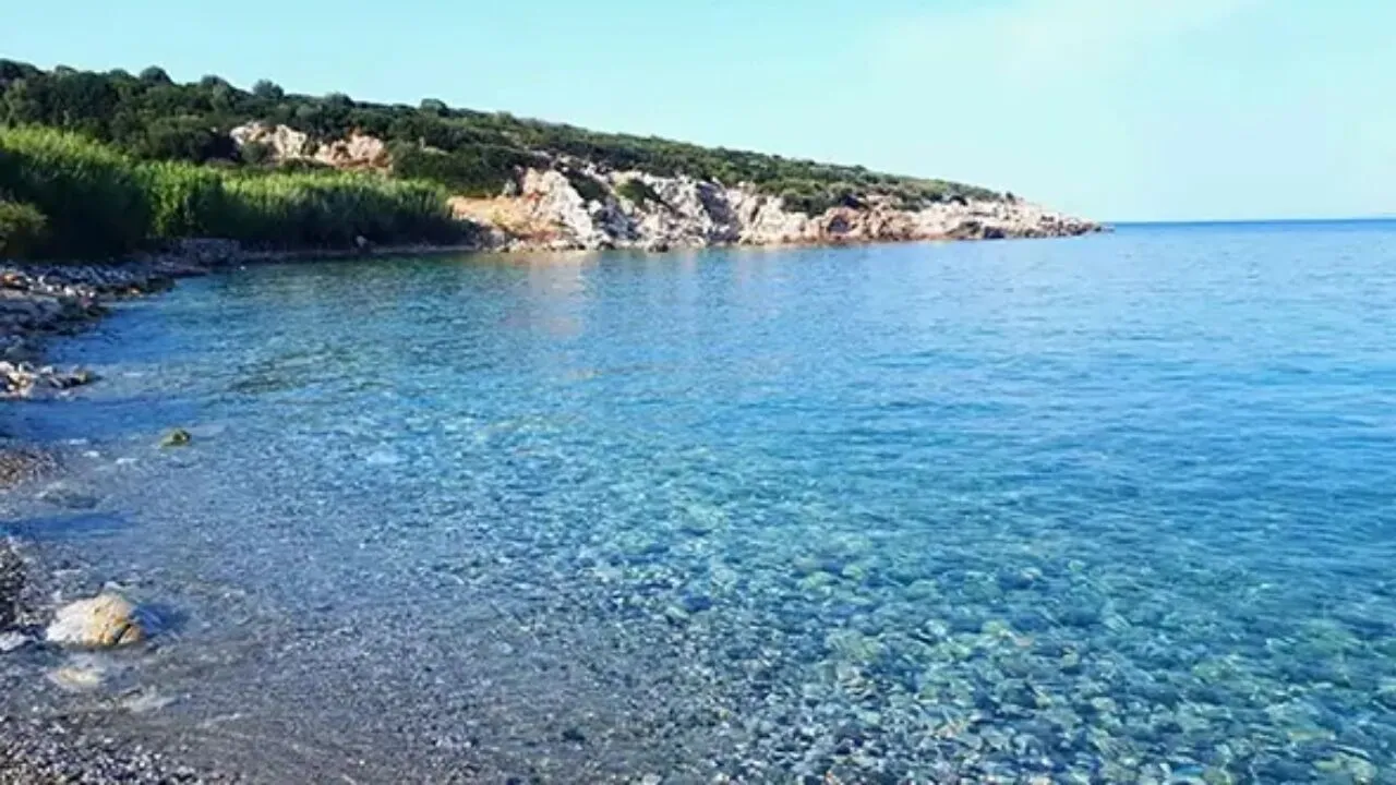 Olcabuk Koyu Kapak