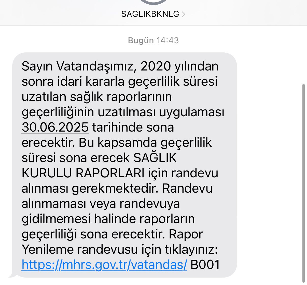 P H O T O 2025 06 19 15 19 18