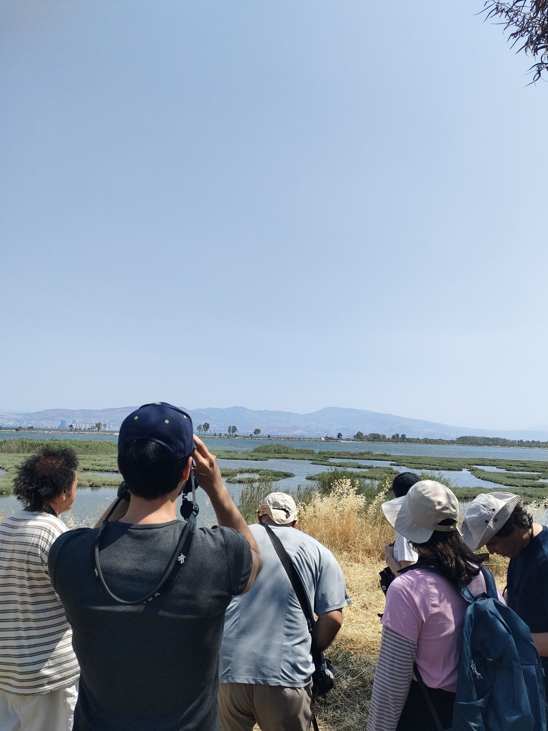 09.07.2025 315B6Caa D8Eb 4B4C Aa19 42B8Ae771F56