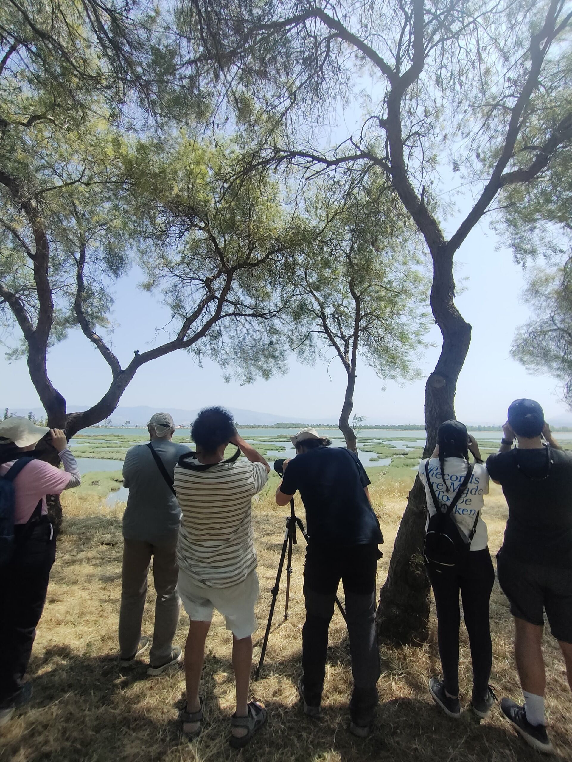 09.07.2025 39Cd8671 15E2 4F94 8Cc4 D5Bfd051D77B