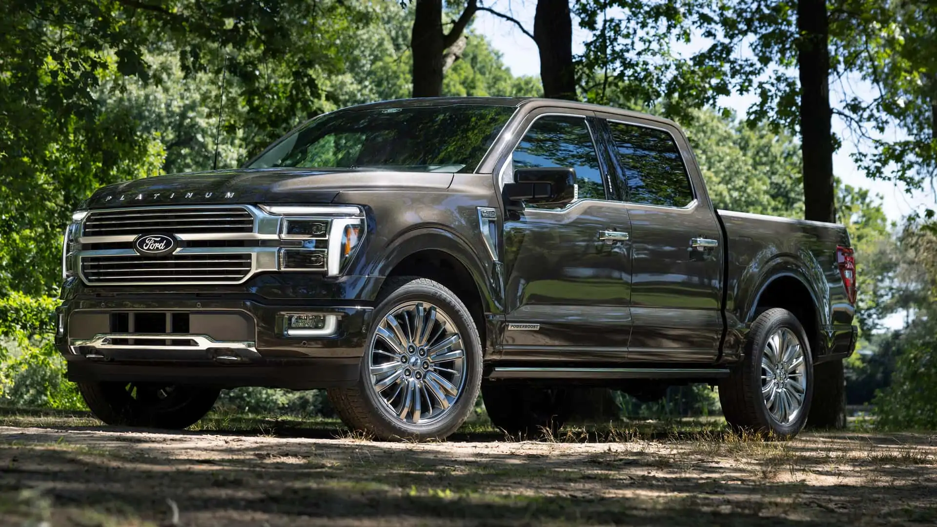 2024 Ford F 150 Platinum Exterior