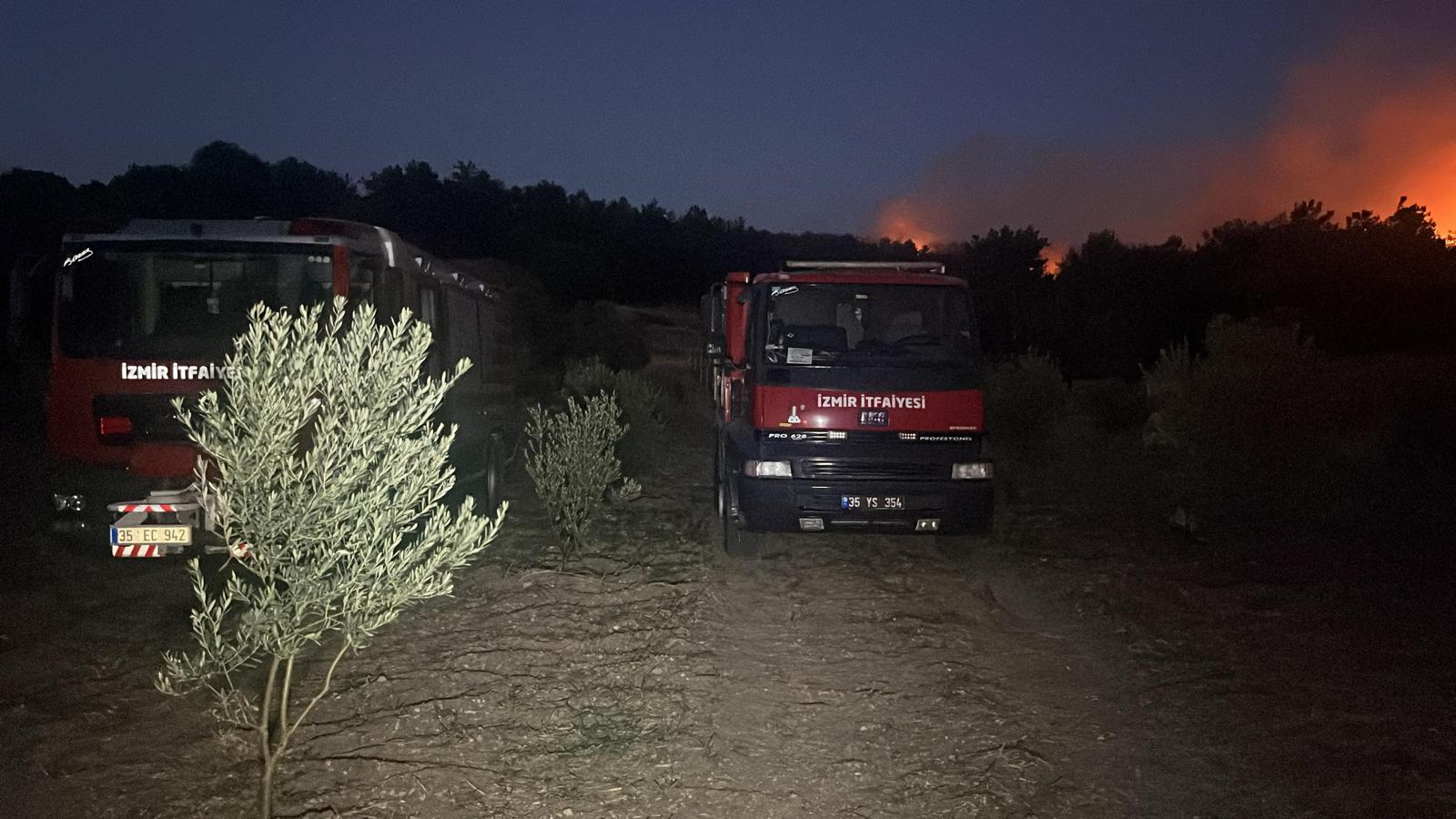 23.07.2025 40A86Bed 6F96 4148 9850 Ebe1F8Fb648A