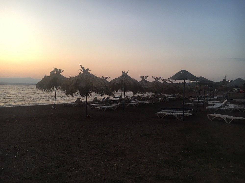 A Part Of The Beach Photo