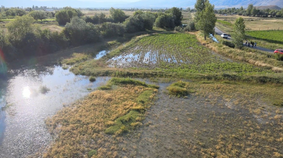 A W495909 04