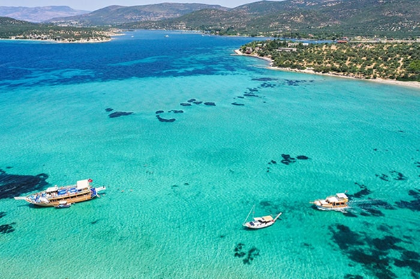Bademli Ic1