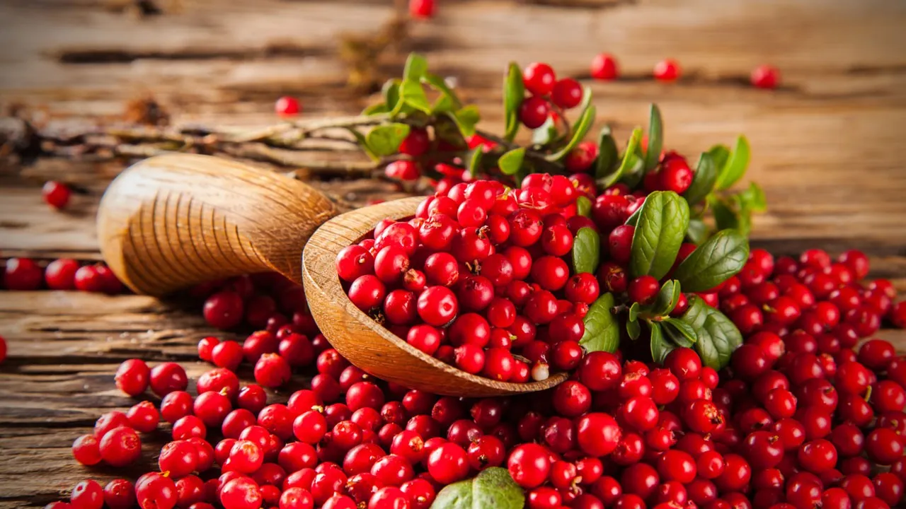 Cranberry Qbg I Cover.jpg