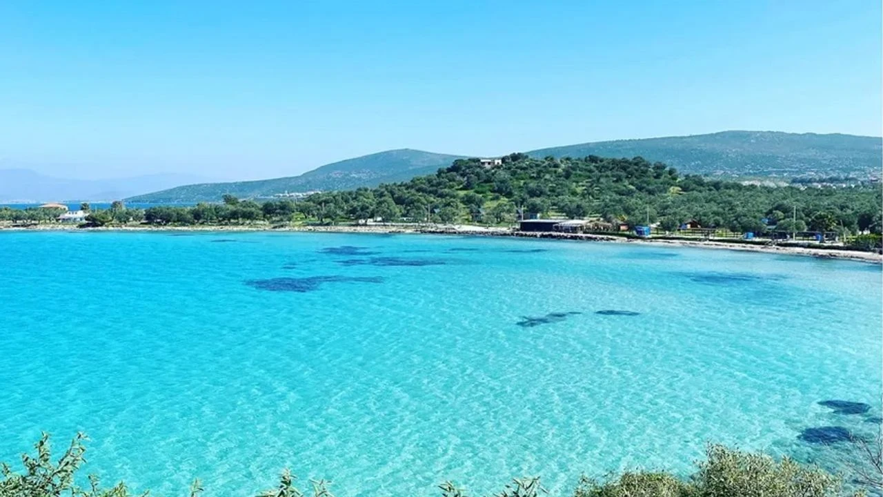 Dikili Bademli 1