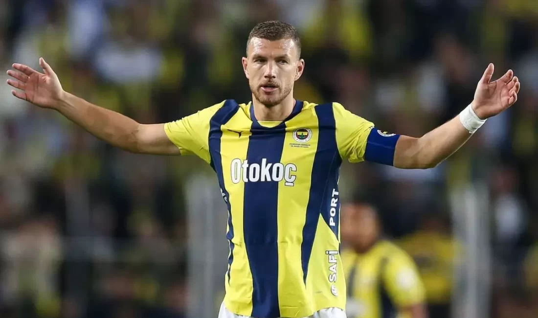 Edin Dzeko
