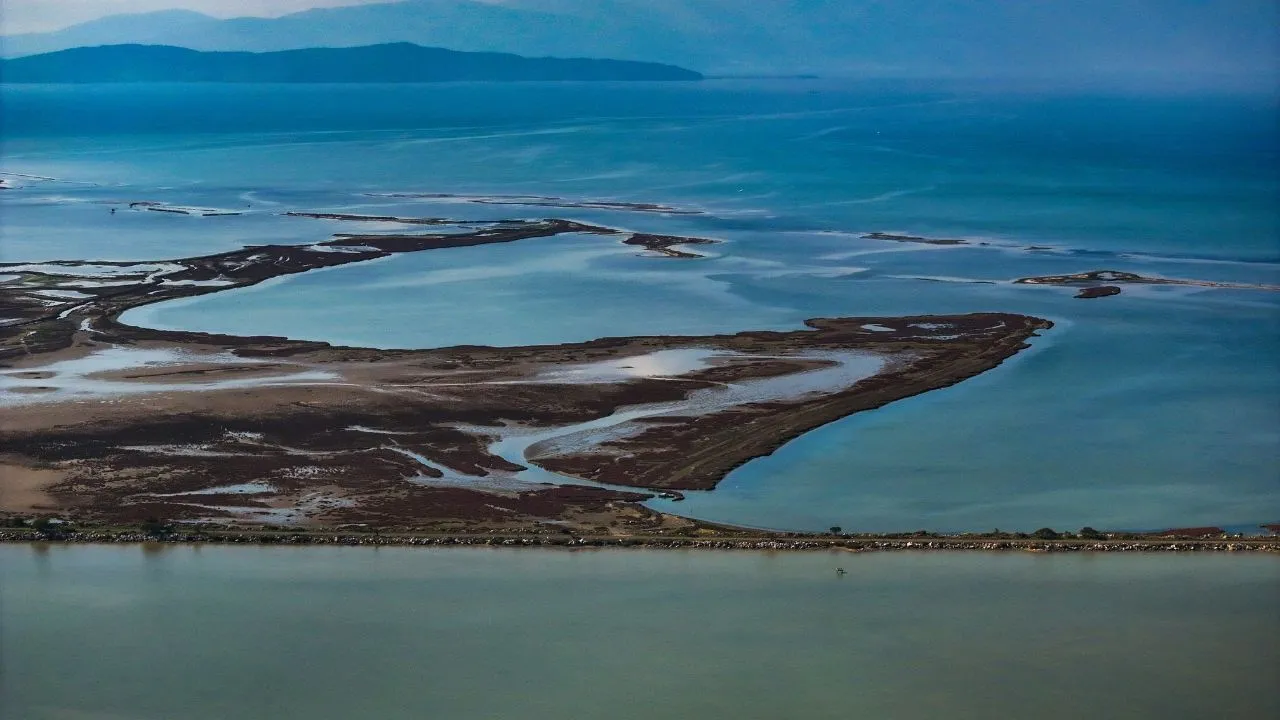 Gediz Deltasi Foto Galeri 14-1
