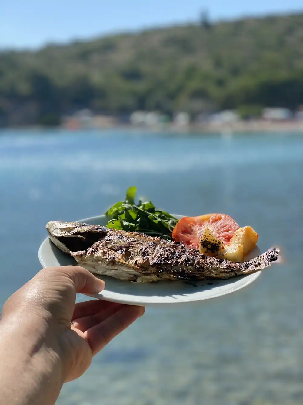 Manzara Restaurant Balikliova 2