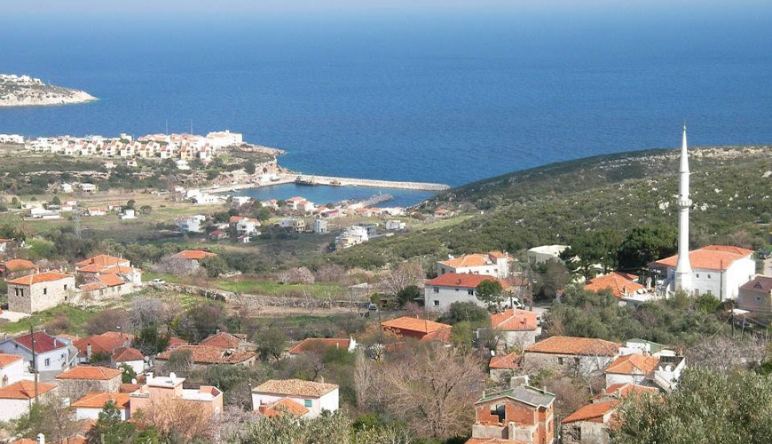 Saip Koyu