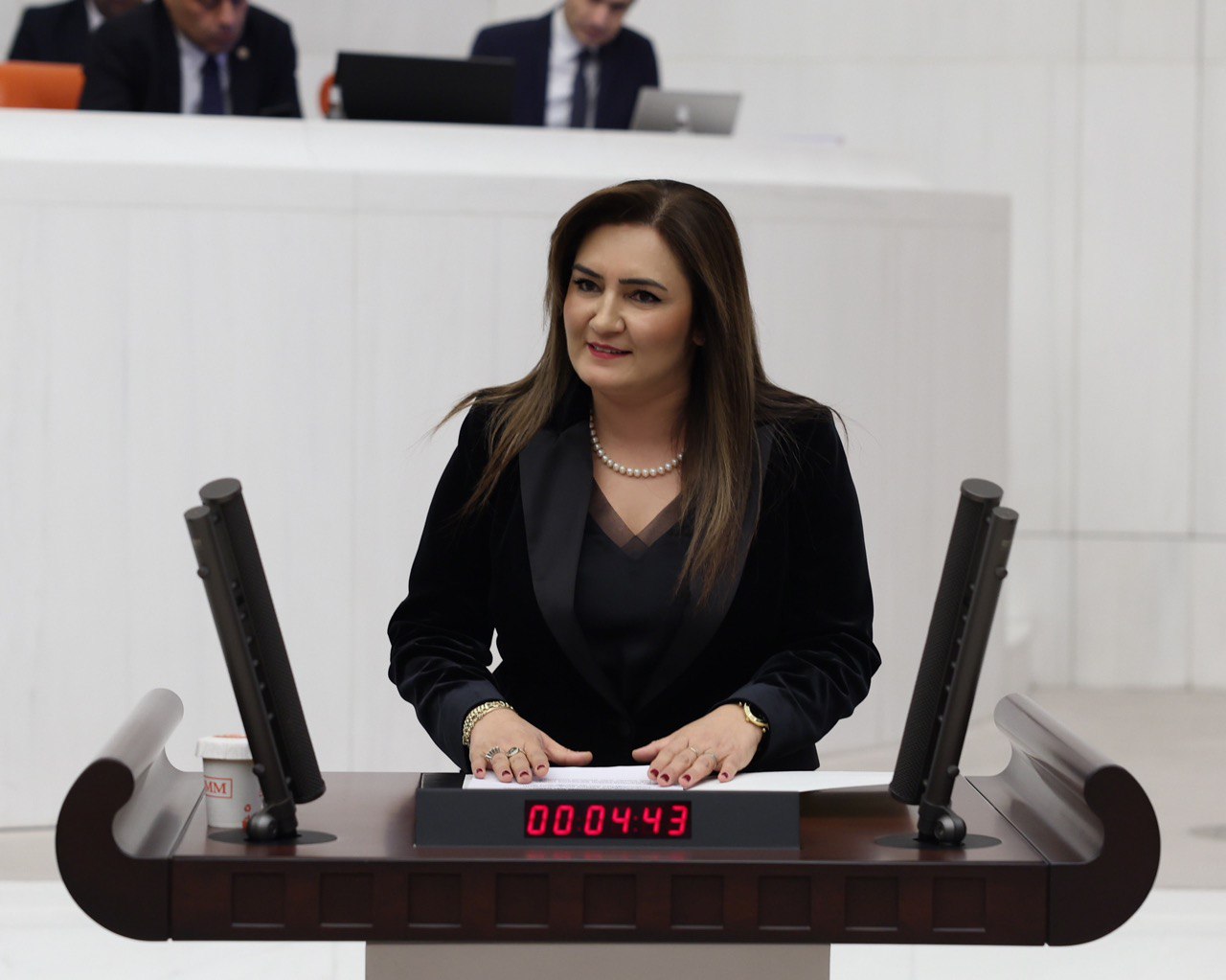 Sevda Erdan Kılıç