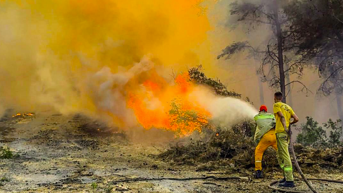 Wildfires In Turkey
