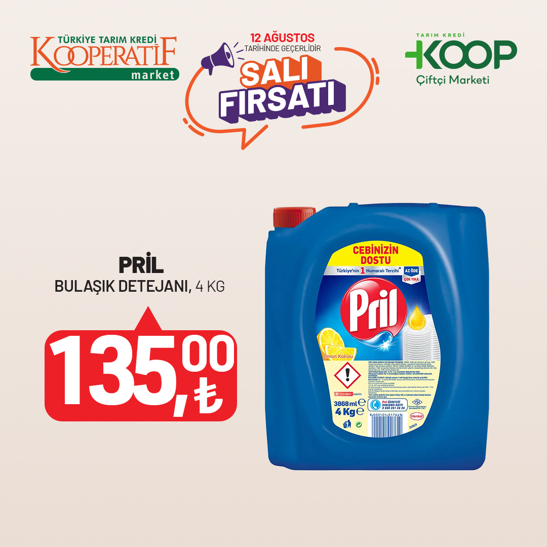 12 Agustos Sali Firsati Kare 2961