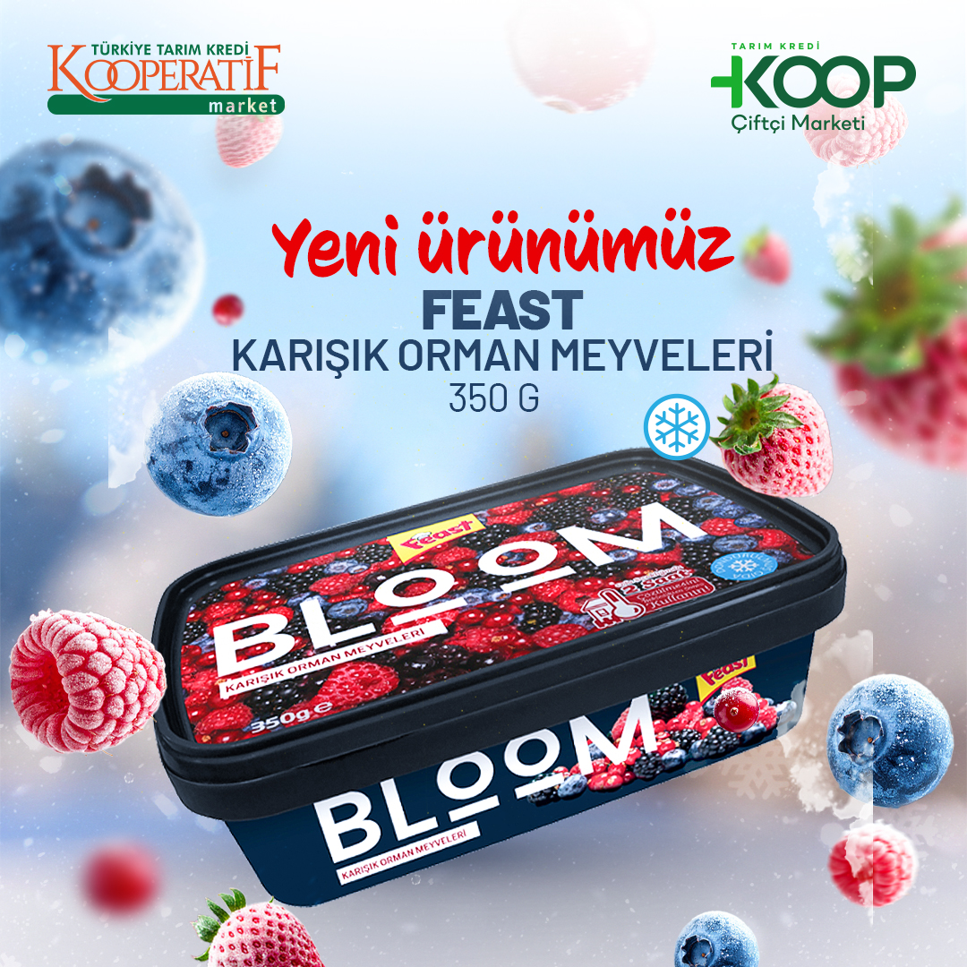 Feast Orman Meyveli Donuk Kare 2991