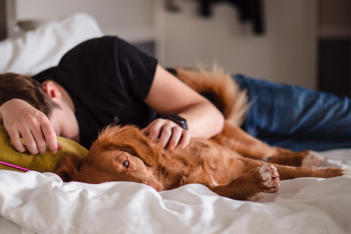 Köpek