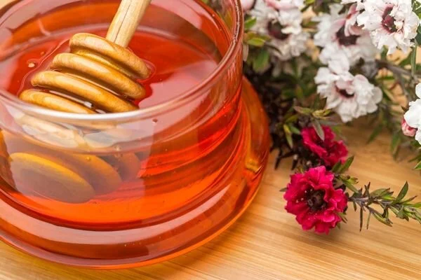 Manuka Bali Enfeksiyon Hastaliklarina Birebir 1
