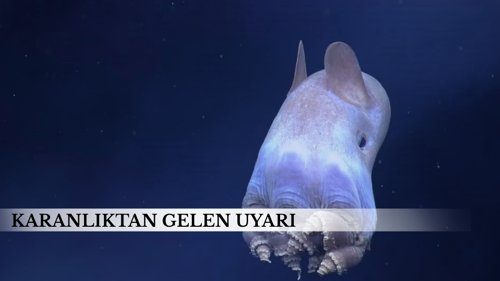 Bilimin sınırlarını zorlayan inanılmaz hayvan türleri!