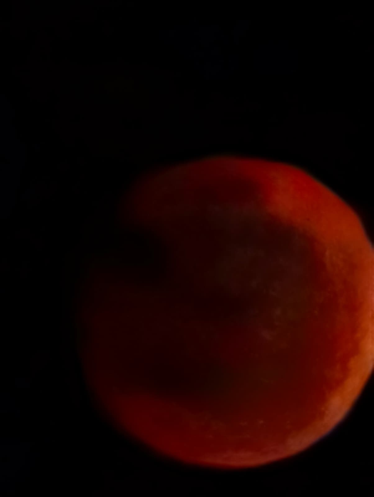 A W533369 01