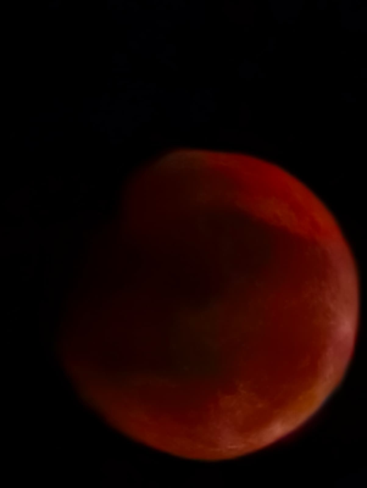 A W533369 02