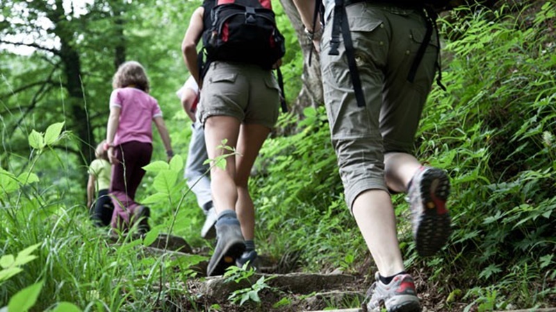 Hiking Fun