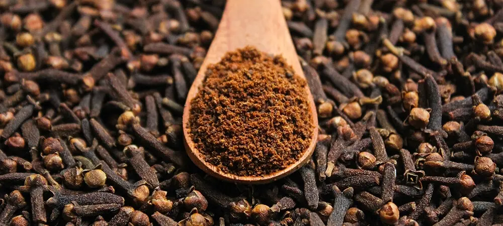 Karanfil-1