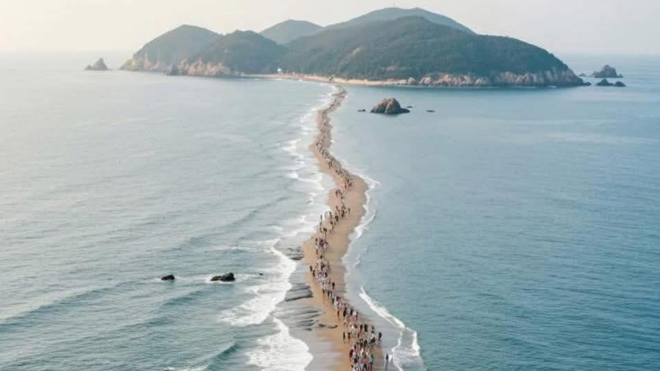 Miracle Of Jindo South Korea C O V E R