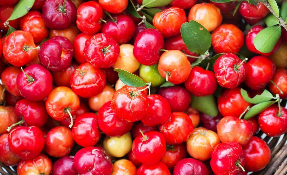 1. Camu Camu (Acerola)3