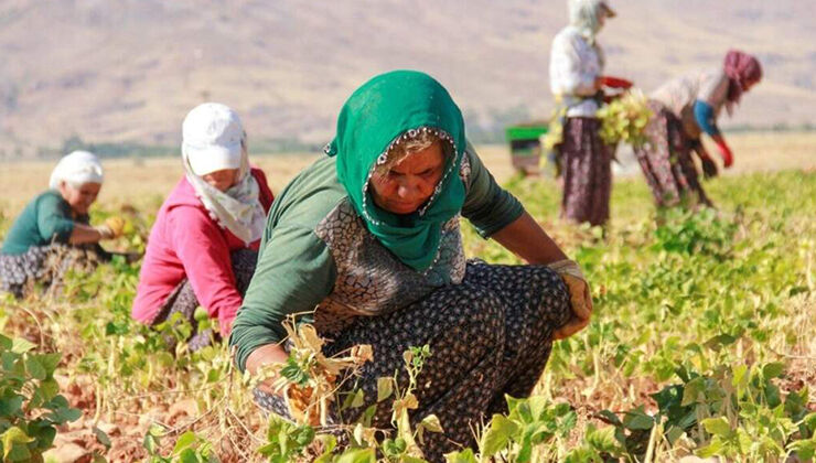 15 Ekim Dünya Kadın Çiftçiler Günü Mesajları Ve Sözleri 2025 Dünya Kadın Çiftçiler Günü Nedir (1)-2